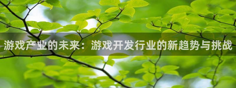 ag街机官网的奇趣腾讯是真的吗还是假的：游戏产业的未来：游戏开发行业的新趋势与挑战