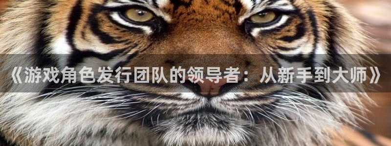 ag街机子小说：《游戏角色发行团队的领导者：从新手到大师》