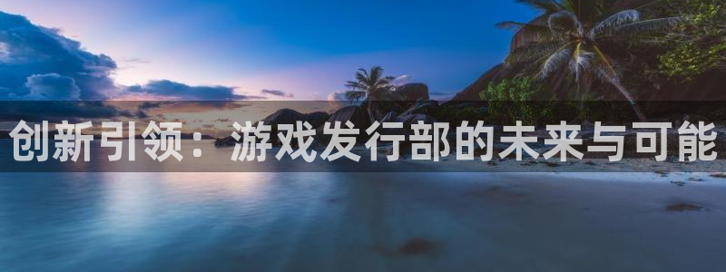 ag街机注册开户：创新引领：游戏发行部的未来与可能