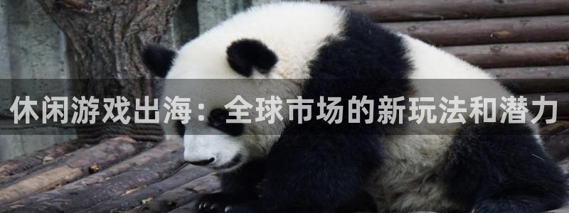 ag街机是什么品牌：休闲游戏出海：全球市场的新玩法和潜力