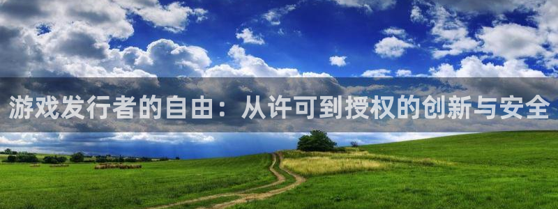 ag街机电子商务有限公司怎么样：游戏发行者的自由：从许可到授权的创新与安全