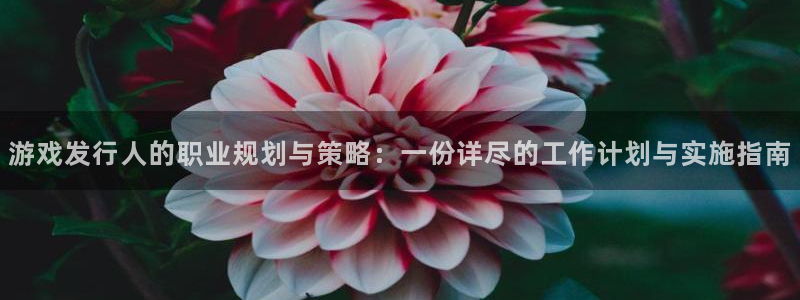 ag街机电子商务怎么样：游戏发行人的职业规划与策略：一份详尽的工作计划与实施指南
