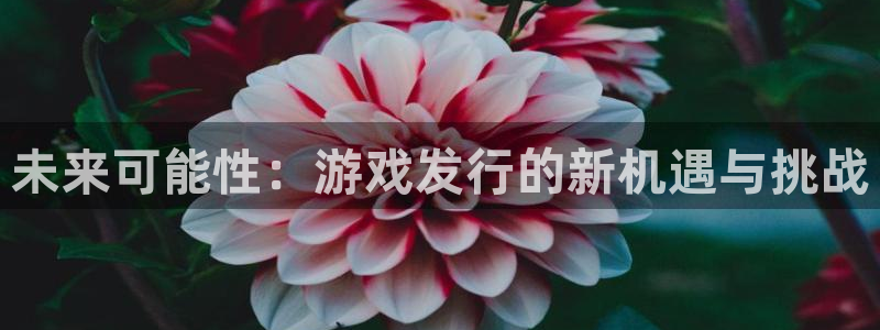 ag街机电子商务有限公司怎么样
