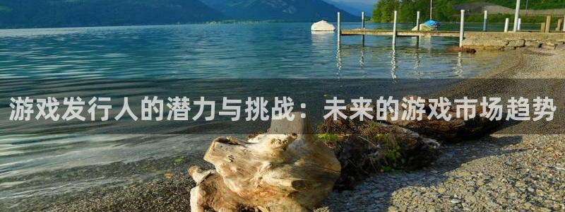 ag街机官网注册平台怎么样：游戏发行人的潜力与挑战：未来的游戏市场趋势
