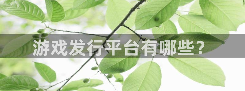 ag街机官网官网注册账号怎么注册：游戏发行平台有哪些？