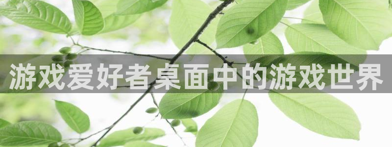 广东ag街机电子科技有限公司：游戏爱好者桌面中的游戏世界