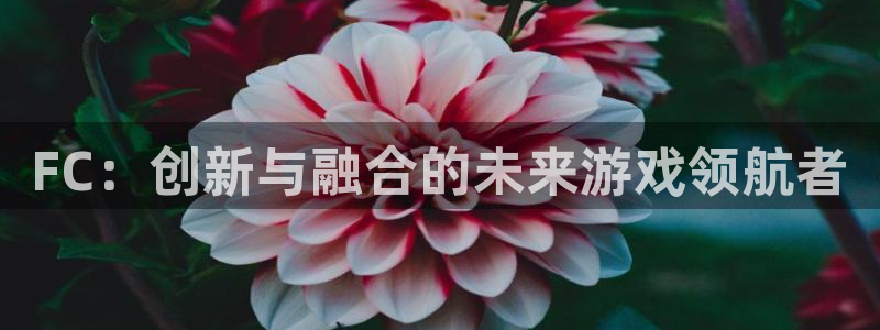ag街机有什么寓意