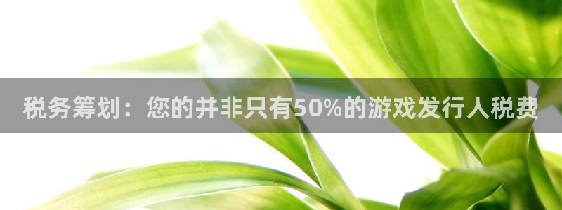 ag街机官网的奇趣腾讯是真的吗：税务筹划：您的并非只有50%的游戏发行人税费