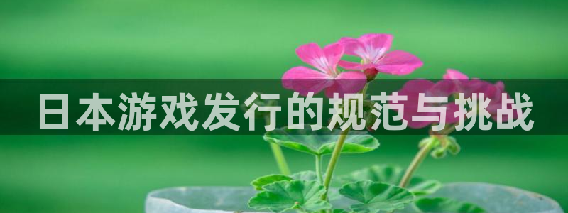 ag街机子图书：日本游戏发行的规范与挑战