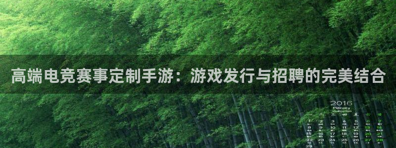 广东ag街机：高端电竞赛事定制手游：游戏发行与招聘的完美结合