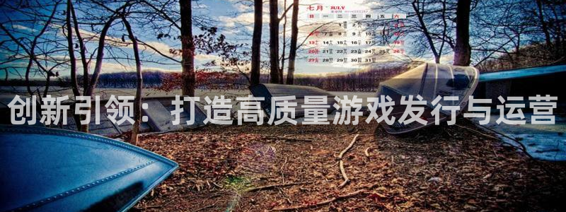 四川ag街机科技有限公司招聘：创新引领：打造高质量游戏发行与运营