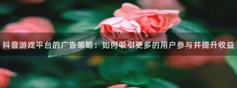 ag街机电子商务有限公司怎么样知乎